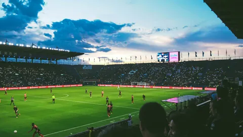 我国森林覆盖率超25%，全球绿化贡献位列第一