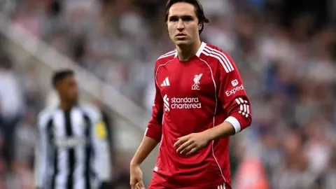 “乌克兰欲以矿产资源换取安全援助，特朗普表态支持”