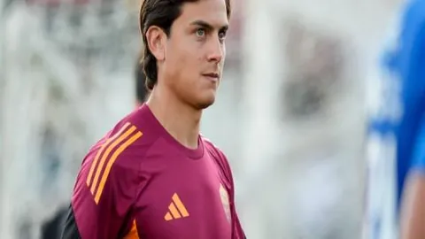 kaiyun·开云（中国）